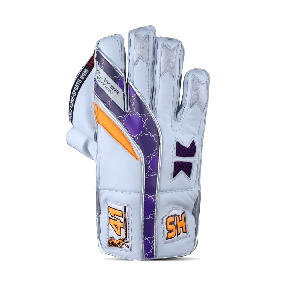 HS 41 Wicket Keeping Gloves - image 2
