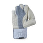 HS 41 Wicket Keeping Gloves - image 3