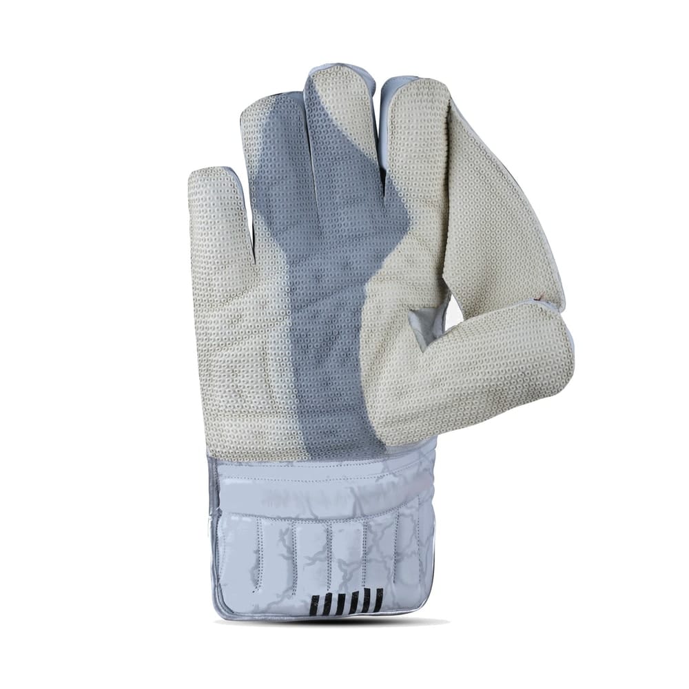 HS 41 Wicket Keeping Gloves - image 3